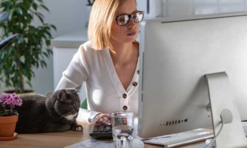 WordPress optimizacija